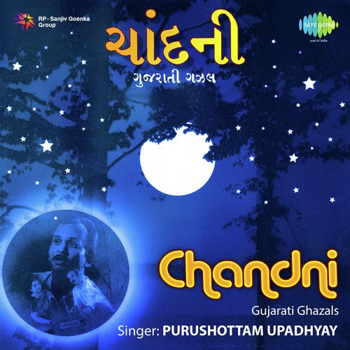 Bahu Gambhir Ghaflat Thaie Gayi Chhe - Viraj, Bijal Upadhyay