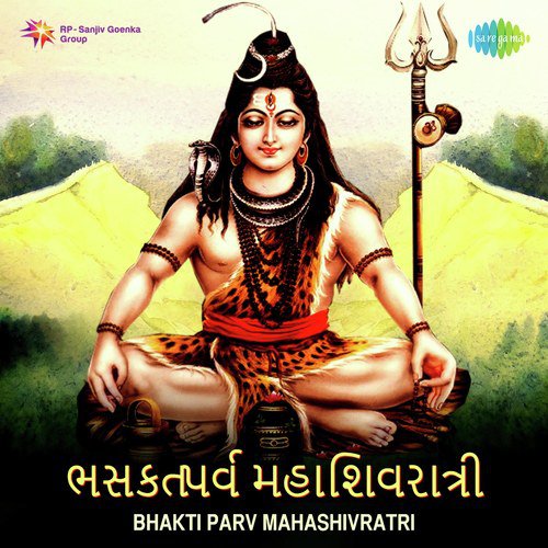 Om Shiv Om Shiv Paratpara - Live - Various Artists