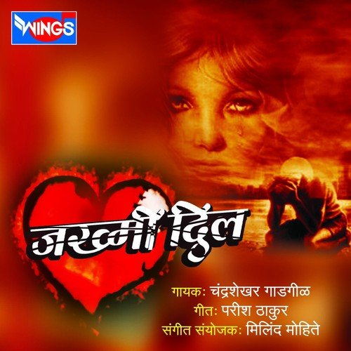 Priticha Ha Dav Asa - Chandrashekhar Gadgil