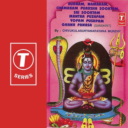 Yopam Pushpam  Yajurveda Aasheer Vachanam - Chivukulasuryanarayana Murthy