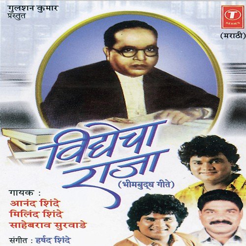 Pune Karari Bhetala Bheem - Harshad Shinde