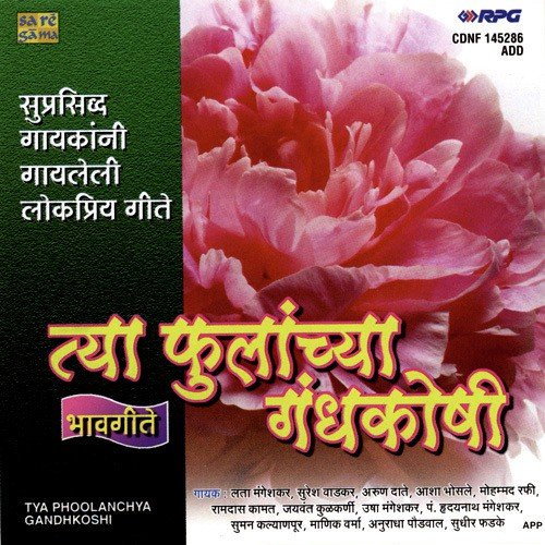 Mee Maj Harpun Basale Ga - Various Artists