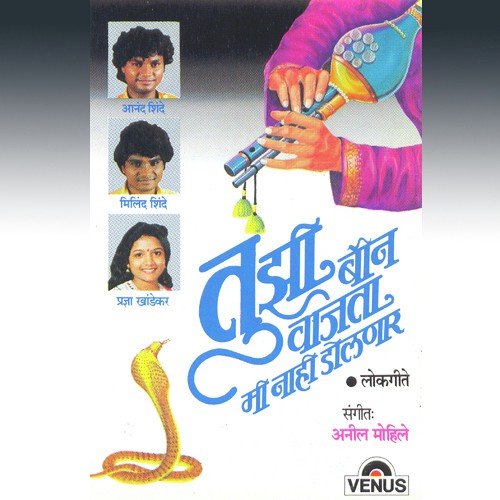 Salbhar Martoy Line - Anil Mohile
