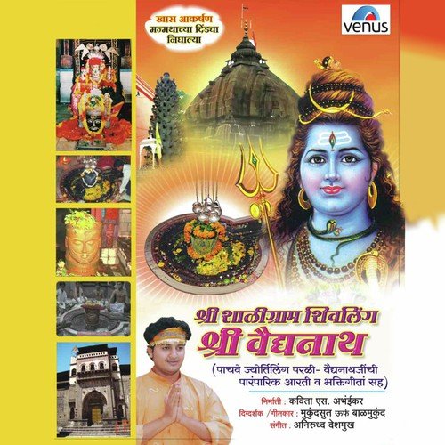 Shaligram Shivling Vaidyanath - Various Artists