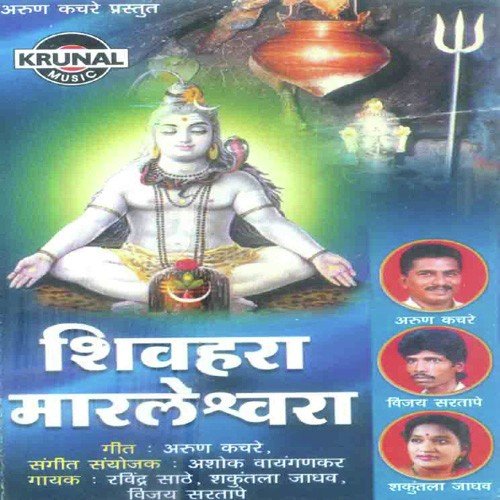 Har Har Mahadev Garjana Zali - Various Artists