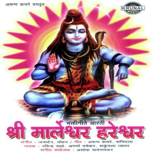 Srivardhnacha Drya Kinari - Various Artists