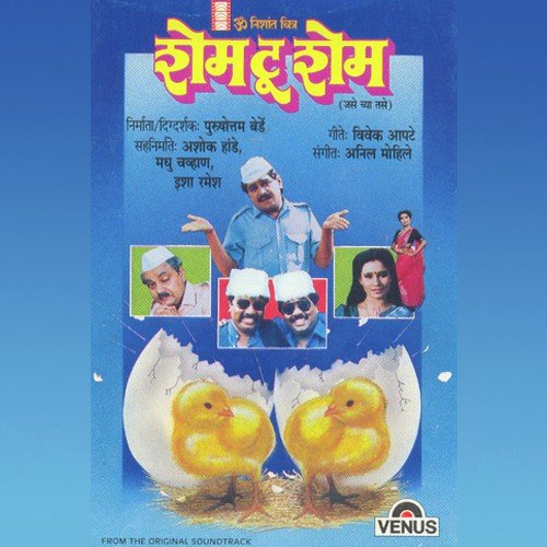 Bugadi Majhi Sandali Ga - Anil Mohile