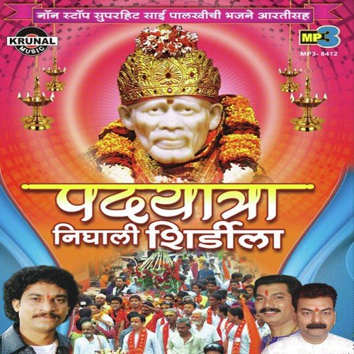 Sainchya Palkhit Dham Dham Dhol Wajato Palkhit Bhakt Ho Nachato - Various Artists