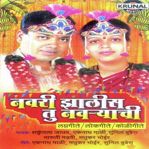 Aai Jivdani Navsala Pavte - Various Artists