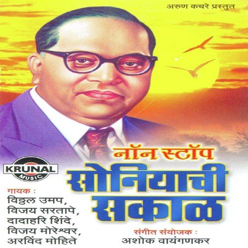 Mazya Bhimachi Kamai - Various Artists