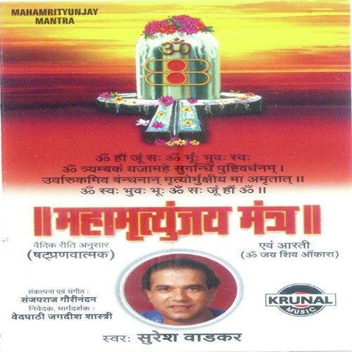 Shiv Shankar Sambho - Various Artists