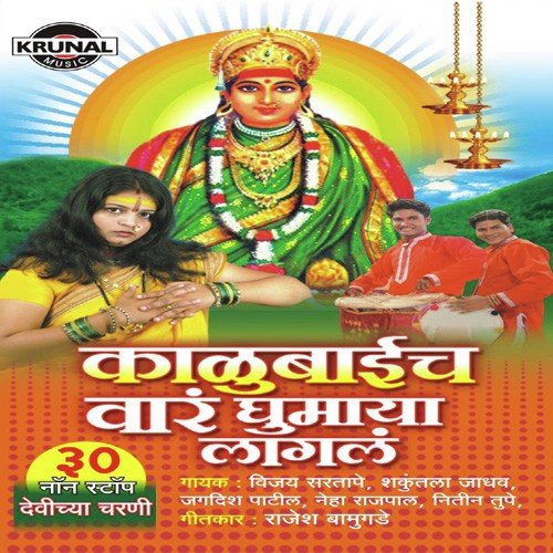Dogaravari Aai - Various Artists