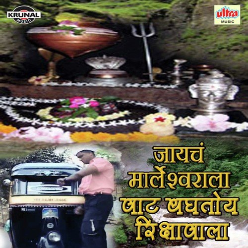Marleshwar Bola Har Har Mahadev Bum Bum Bhole - Various Artists