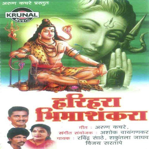 Bhimashankaracha Yad Laglaya - Various Artists