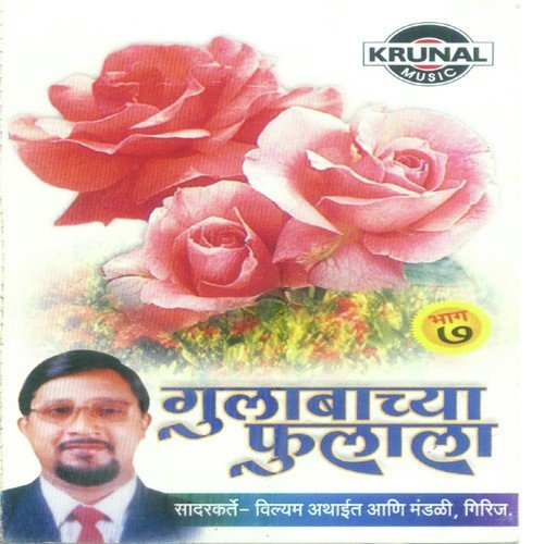 Kalya Nilya Pakhara - Various Artists