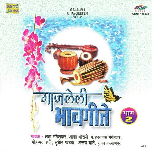 Divas Tujhe He Fulayache - Various Artists