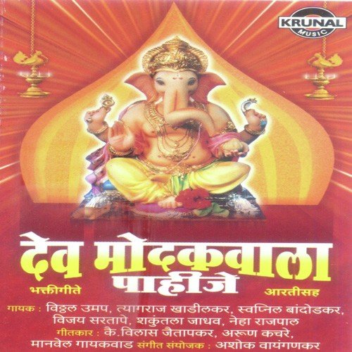 Sanaichya Surat Dholachya Gajrat - Various Artists