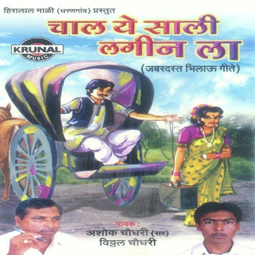 Patil Bavana Bimlai Bungla - Various Artists