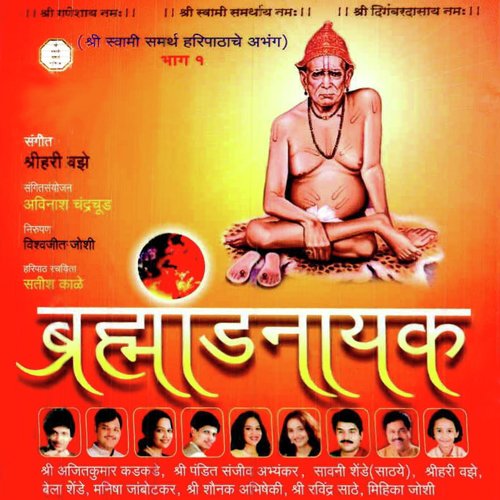Swami Chamatkar - Various Artists