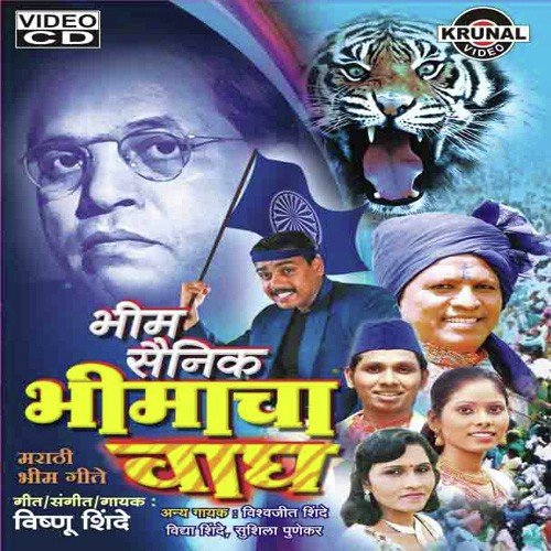 Majya Bhimacha Kayada Ha - Various Artists