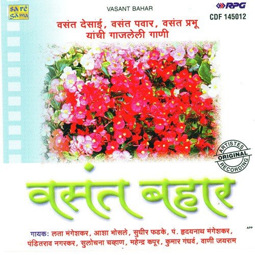 Majhiya Nayananchya Kondani - Various Artists