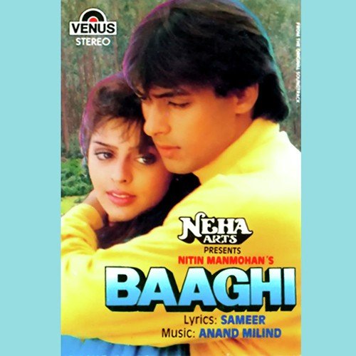 Chandni Raat Hai - Anand-Milind