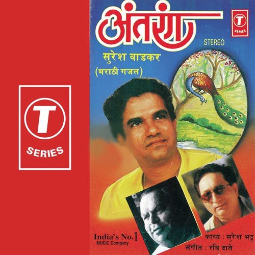 Samjaavuni Vyathalaa Samjavataa Na Aal - Suresh Wadkar, Ravi Daate