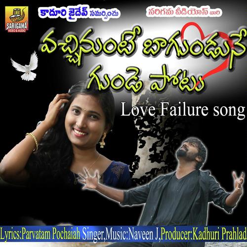 Vachinunte Bagunde Gundepotu - Naveen J