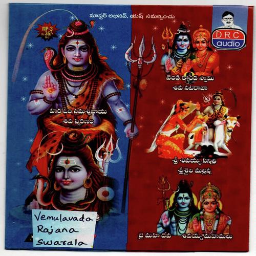 Rajanna Rajanna Aantavu - Warangal Shankar, P.N Lingaraj, P.N Lingaraj, Sridhar Yadav, Ramadevi, Jayasri, Anjansri, D.Saragapa