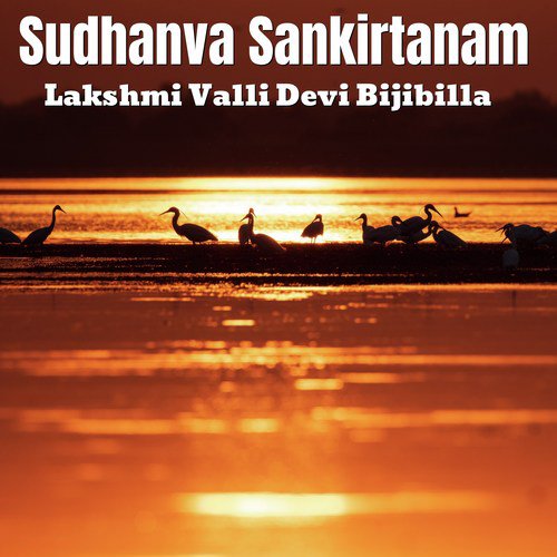 Narayana Ni Namamegathi - Lakshmi Valli Devi Bijibilla