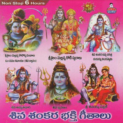 Sir Aradhanariswarastakam Singwe Ramu - Ramu