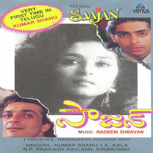 Nee Gayamlo - Nadeem-Shravan