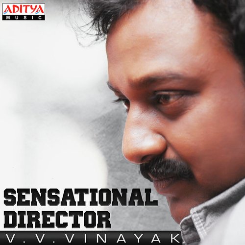 Neeli Neeli (From Alludu Seenu) - Various Artists