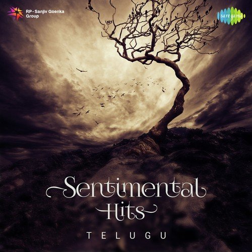 Sudha Raaga Sudha (From Muthaiduva) - Various Artists