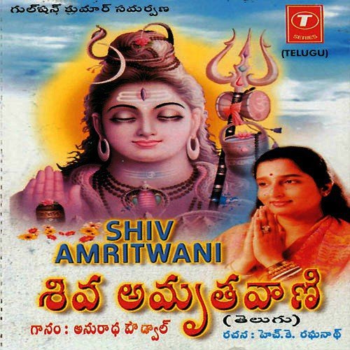 Shiv Amritwani - Various Artists
