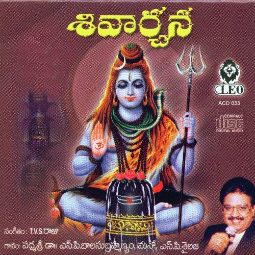 Siva Sthuthi - Various Artists