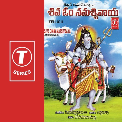 Namassivaaya Sivaaya Namaom - Parthasaradhi, J. Purushothama Sai