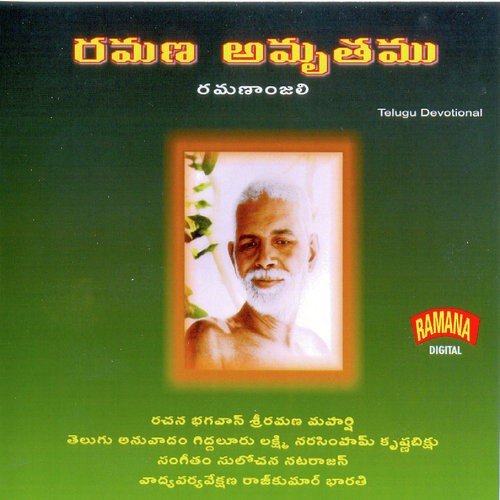 Arunacala Bhava Sagara   Abridged Version - S. Rajeswara Rao
