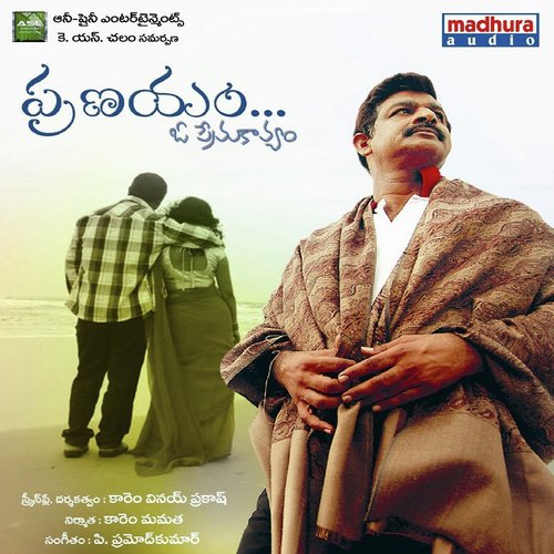 Seethamma Petalo - P Pramod Kumar