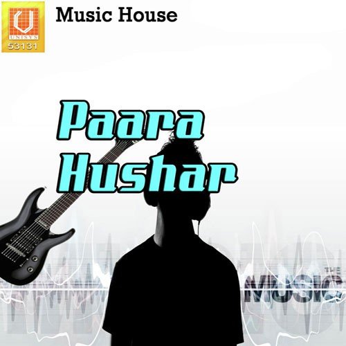 Pothandiro Pilla - Various Artists