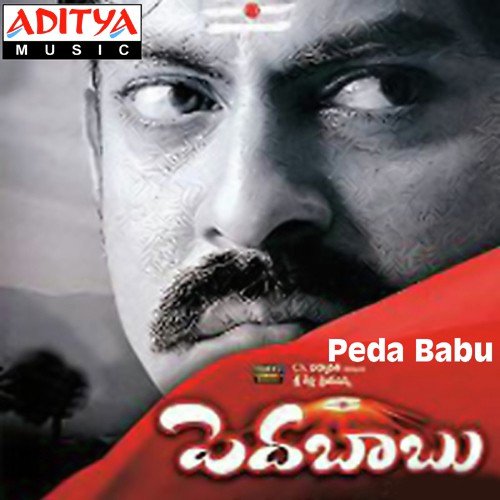 Naalo Nuvvunavuley - Chakri