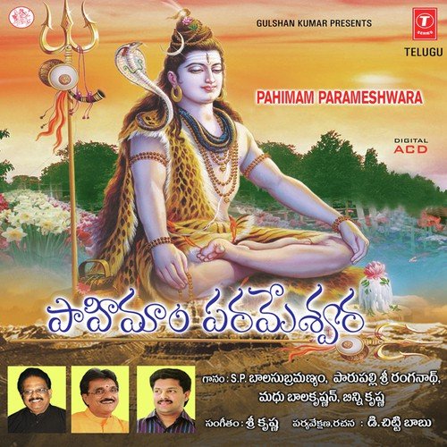 Sanakasa Nandana - Sri Krishna