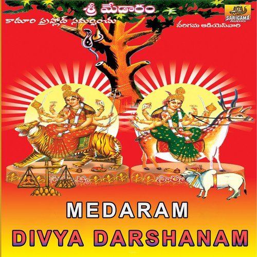 Chilkaladi Gattu Chini Medaram - Various Artists