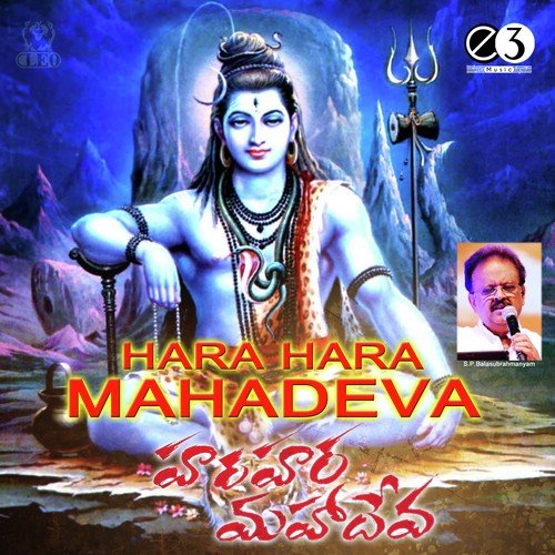 Seshachala - Sri Vedavyasa, S.V. Srinivasa Bhatter