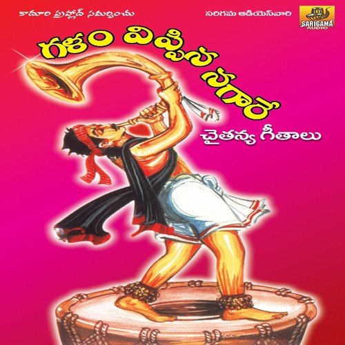 Amma Loni Viluva - Various Artists