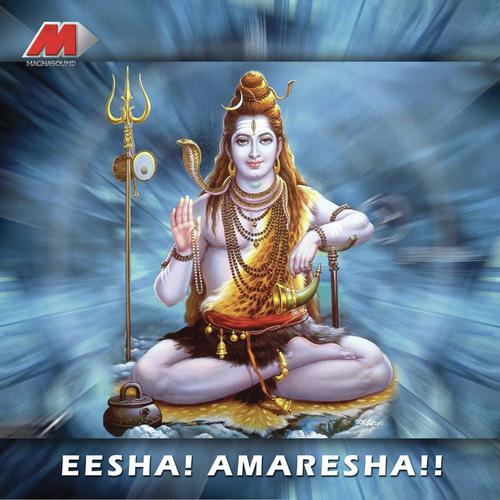 Om Amaralingeshwara Brundaganam - Various Artists