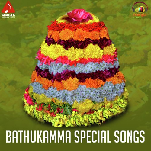 Shanaga Chenu Venaka Nunchi Danimmalo - Various Artists