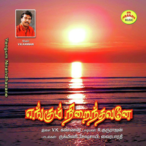 Vinai Theerkkum - R. Gururajan