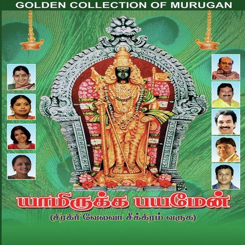 Panniri Karathai   Virutham - K.S. Raghunathan
