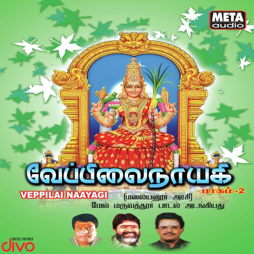 Thillai Vana - D.V. Ramani